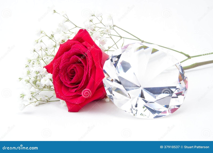 english rose dating site